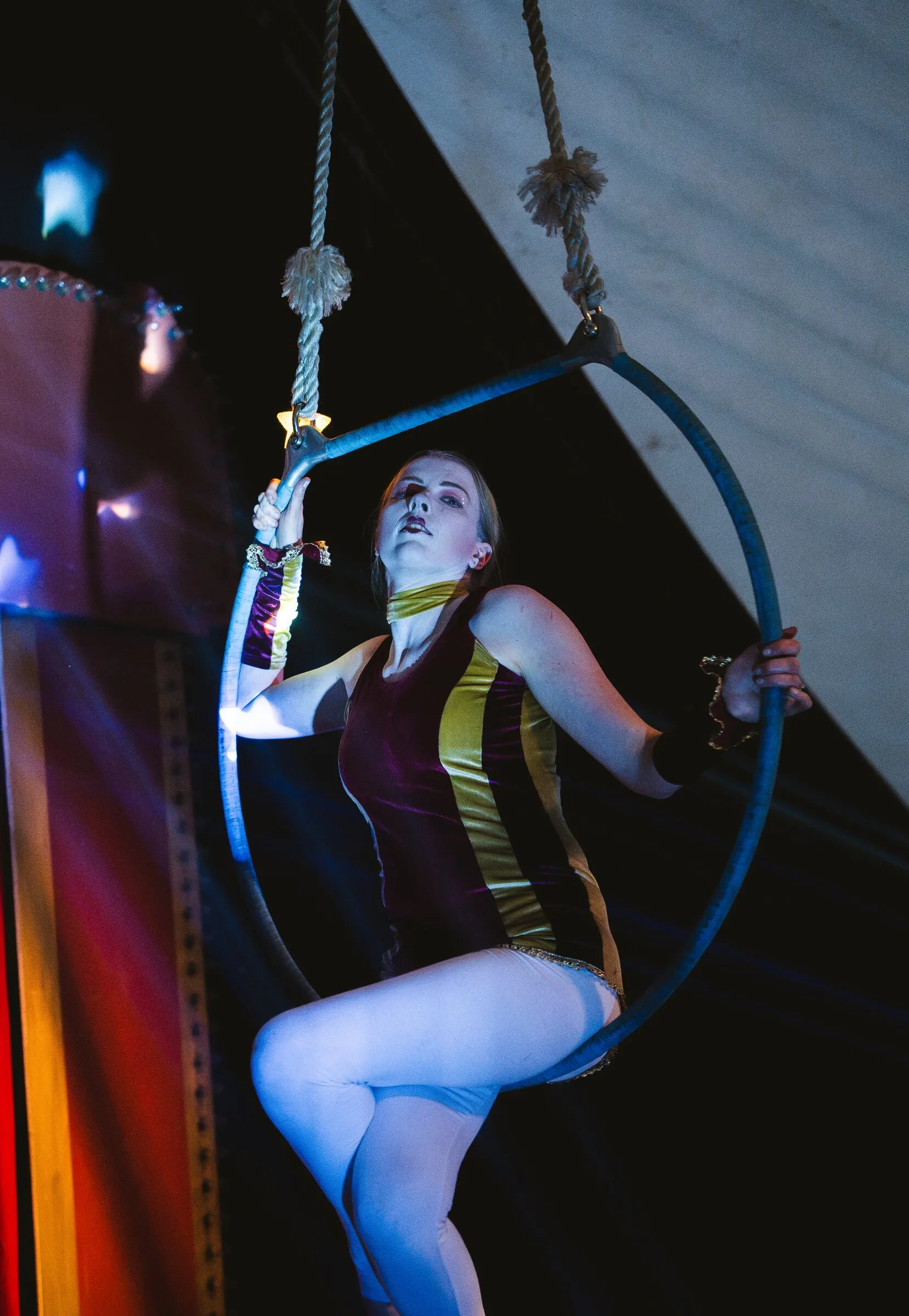 A Kuroneko Circus aerialist seated in an aerial hoop, lit in blue against the canvas